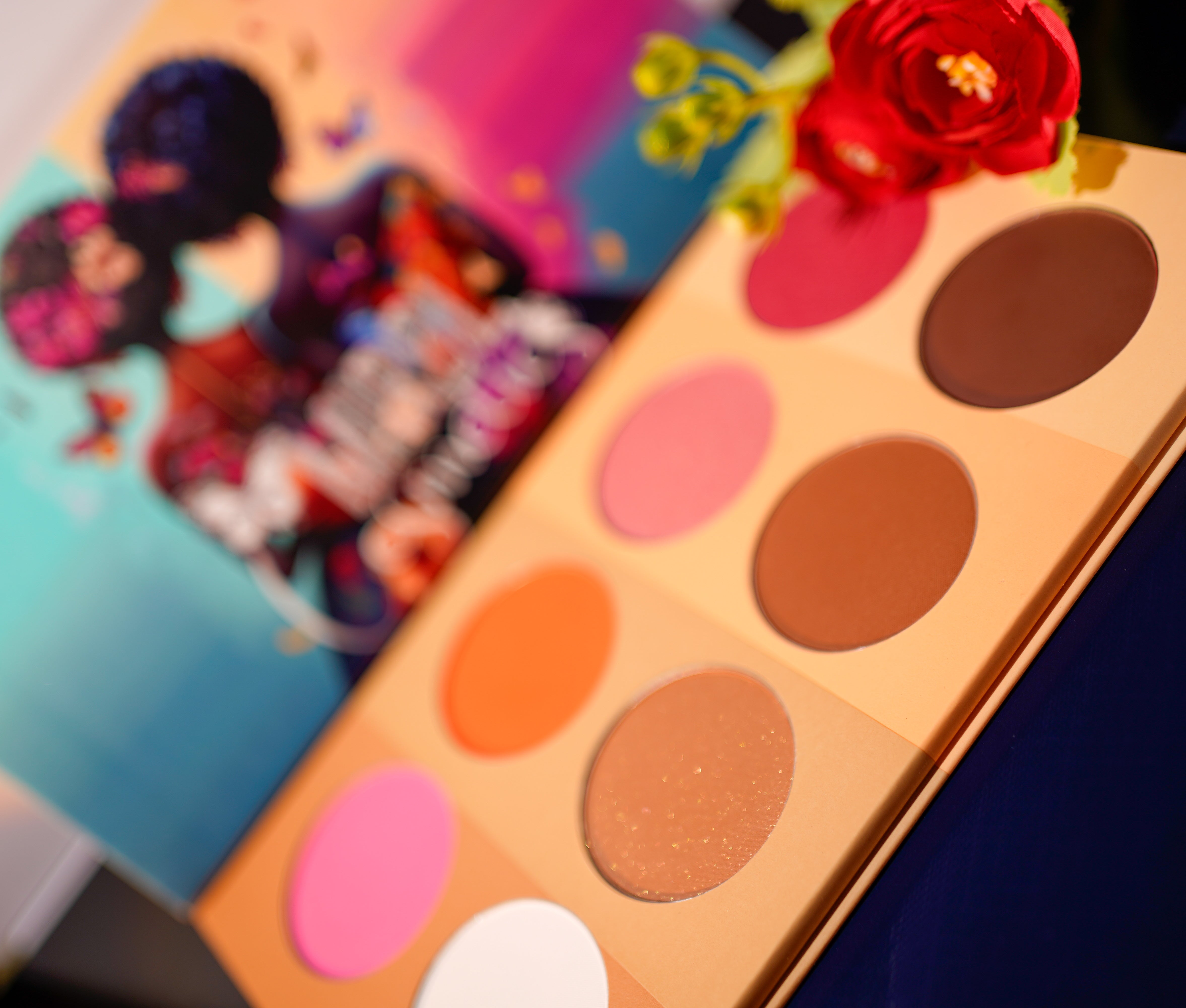 Blush/contour palette